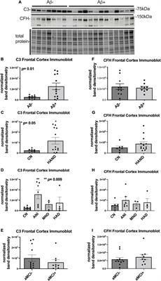 Complement component 3 and complement factor H protein levels are altered in brain tissues from people with human immunodeficiency virus: A pilot study